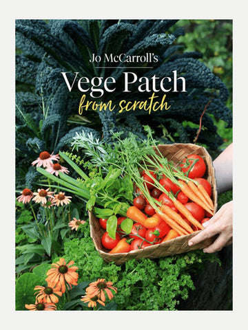 Vege patch from scratch