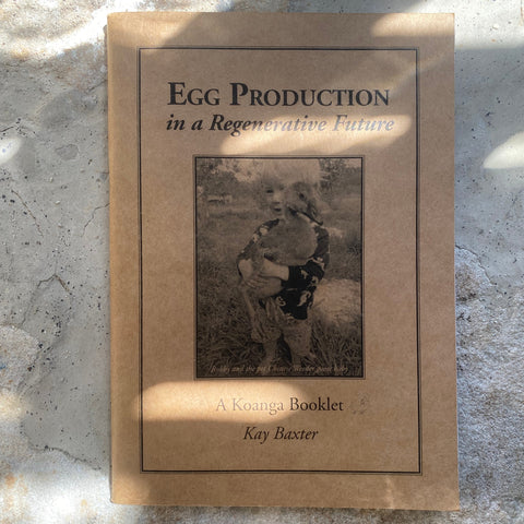 Egg Production | In a regenerative future