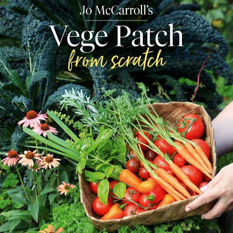 Vege patch from scratch