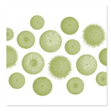 Kina teatowel